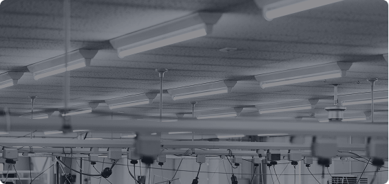 環境への取り組み